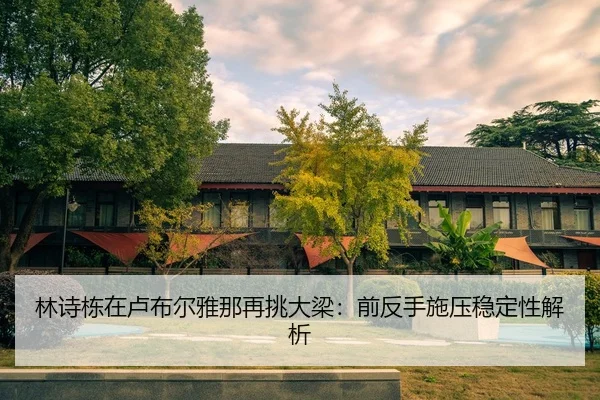 林诗栋在卢布尔雅那再挑大梁：前反手施压稳定性解析