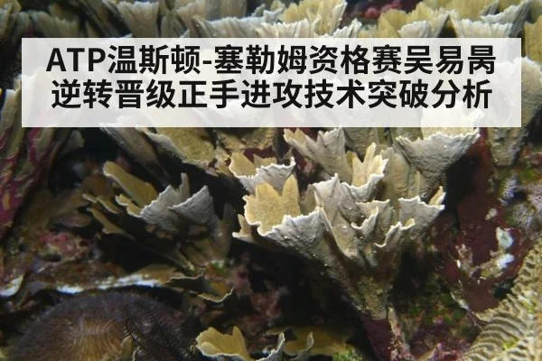 ATP温斯顿-塞勒姆资格赛吴易昺逆转晋级正手进攻技术突破分析