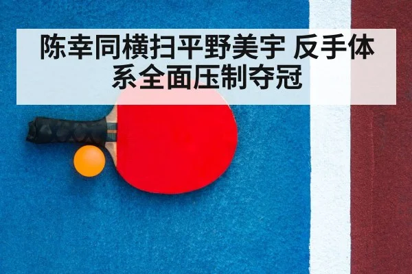 table tennis racket